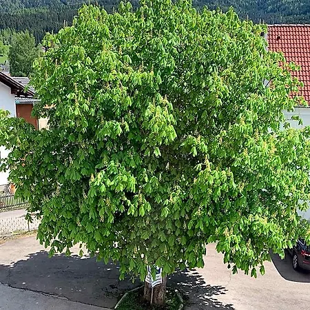 Hotel Landgasthof Zur Post Mitterdorf im Murztal